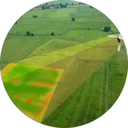 Aerial fields with weed zones highlighted