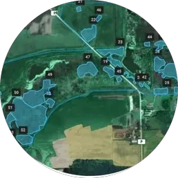 Field map with detected weed patches outlined