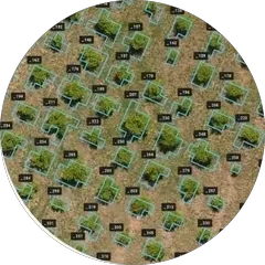 Aerial orchard with each tree automatically tagged