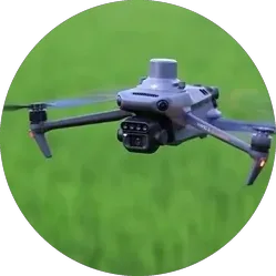 Drone flying low over a green crop field